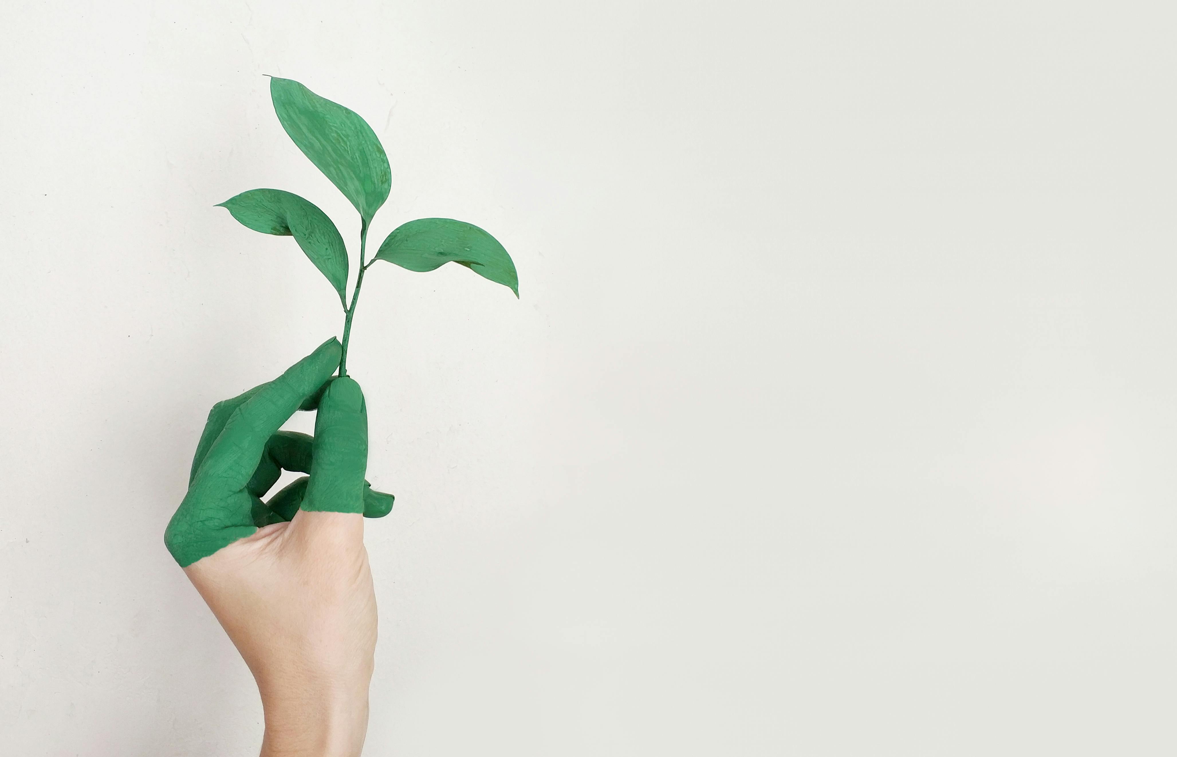 Soziales Unternehmertum: Unternehmen gründen und Gutes tun