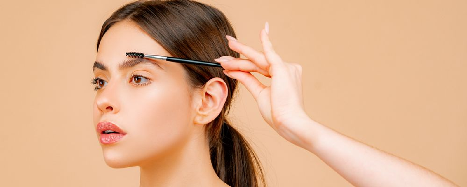 Brow business as a profitable idea