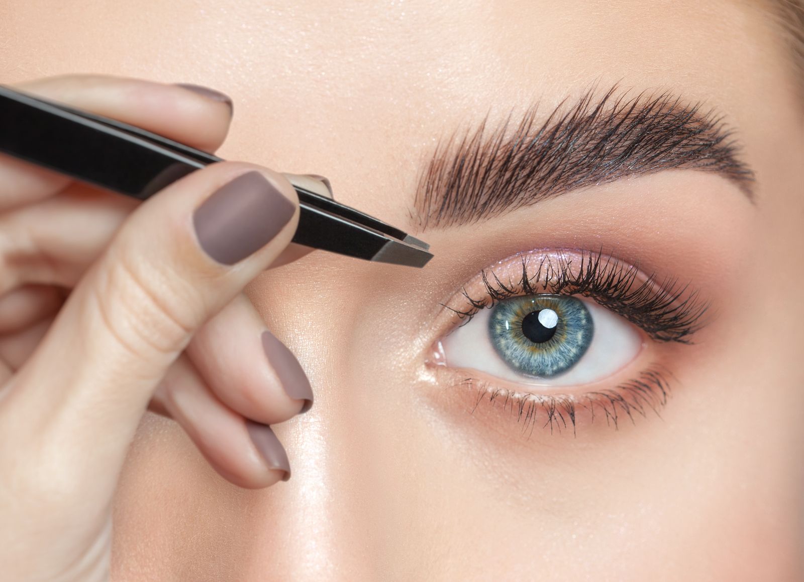 Lash and brow business plan